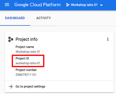 GCP project info with project ID